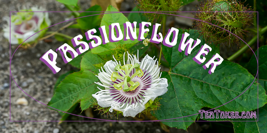 Passionflower: The Exotic Powerhouse of Herbal Smoking – A Comprehensive Journey
